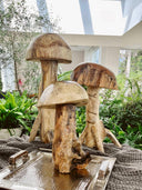 Hongos Familia De Gigantes