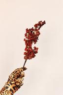 Rama Decorativa Pepperberry