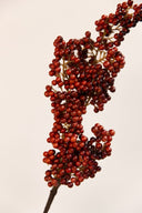 Rama Decorativa Pepperberry
