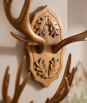 Cuernos De Pared Texas In