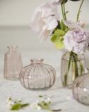 Set x 3 Livi Budvase