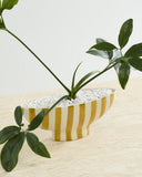 Florero Bowl Saffron Rayas