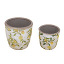 Set x 2 Materas Limonada