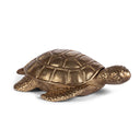 Tortuga Adri Box Anticada, figura decorativa – vista 2