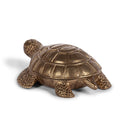 Tortuga Adri Box Anticada, figura decorativa – vista 3