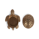 Tortuga Adri Box Anticada, figura decorativa – vista 4