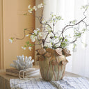 Florero Fungi World Terra S