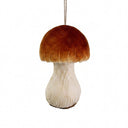 Hongos Porcini m