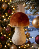 Hongos Porcini m 2