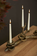Candelabro Ramas Con Hongos