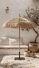 Parasol Palm Beach