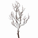 Rama Snowy