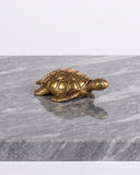 Tortuga Adri Box Anticada, figura decorativa
