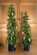 Árbol Navidad Norfolk