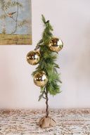 Árbol Pencil De Pino