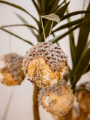 Bola Corteza De Árbol 13