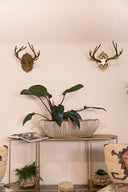 Bowl Terrain Cerámica Grey