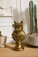 Busto Mr Zorro