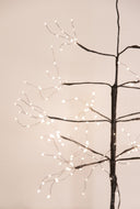 Chamizo Navideño Led Black