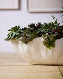 Bowl Ceramica Ondas Small