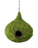 Colgante Casa De Musgo Raindrop