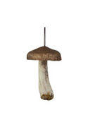 Colgante Hongo Gaia Single