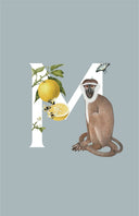 Cuadros Alphabet