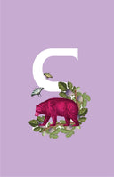 Cuadros Alphabet