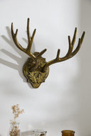 Cuernos De Pared Texas In