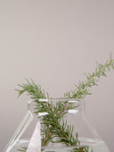 Decanter Cristal Tapa Acacia