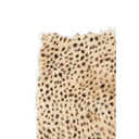 Piel Leopardo