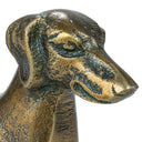 Perro Salchicha Julio