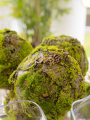 Esfera Decorativa Musgo 15 cm