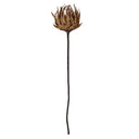 Flor Giant Camel