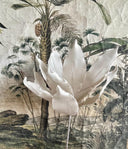 Flor Suculenta Ivory