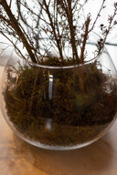 Florero Crystal Convexa
