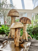Hongos Familia De Gigantes