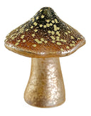 Hongo Vidrio Brown