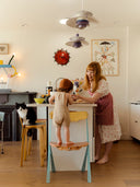 Libro Inspiring Family Homes