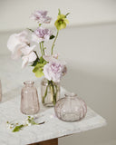 Set x 3 Livi Budvase