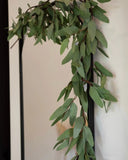 Guirnalda Eucalyptus 1
