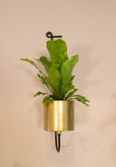 Matera Pared Gold Large - M:19 x 50 cm