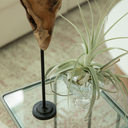 Mesa Auxiliar Vidrio Grey