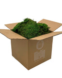 Caja De Musgo