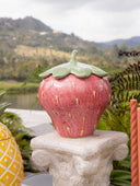 Organizador Strawberry