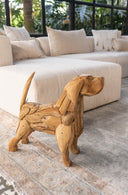 Perro Pistacho