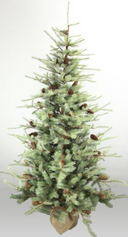 Pino Con Base En Yute