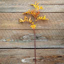 Rama Artificial Autumn