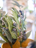 Rama Berries
