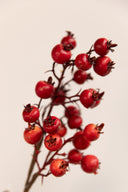 Rama Berry